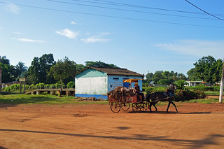 Horse and Cart La Isabel