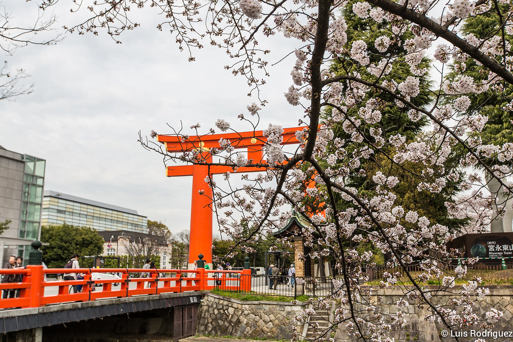 El espectacular torii del santuario Heian