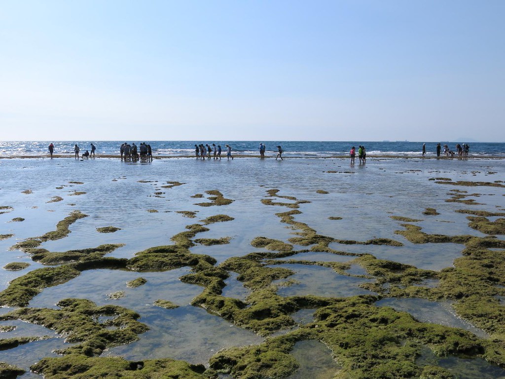 曾經生態豐富的小琉球潮間帶，因為遊客大量湧入、踩踏，生態發出警訊。資料照片。