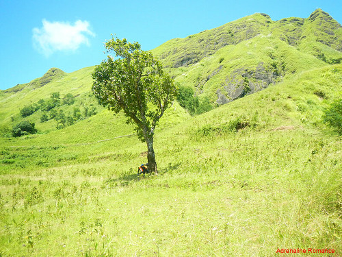 Lone shady tree on Mt. Igcuron's shoulder | by Adrenaline Romance