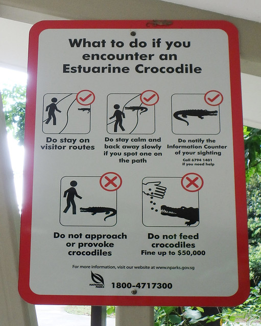 Sungei Buloh Wetland Reserve: Sign on what to do if you encounter an  Estuarine crocodile (Crocodylus porosus)