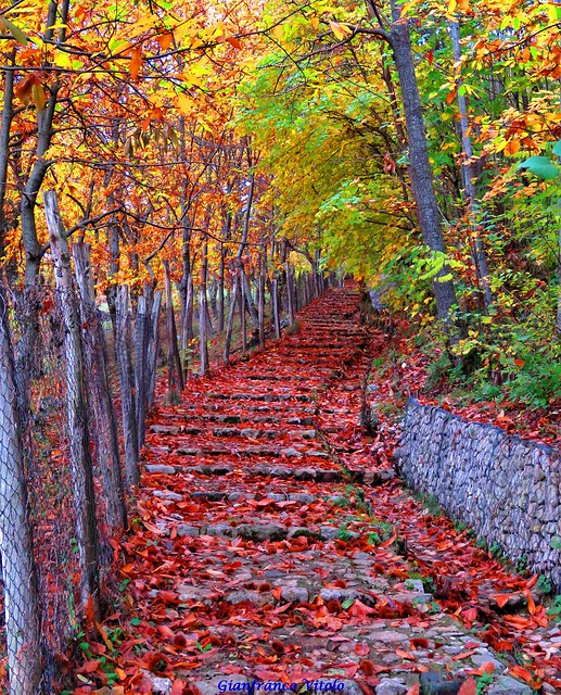 Stairs to Autumn