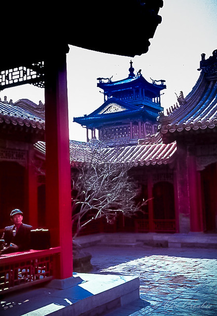 Quietude in the Forbidden City