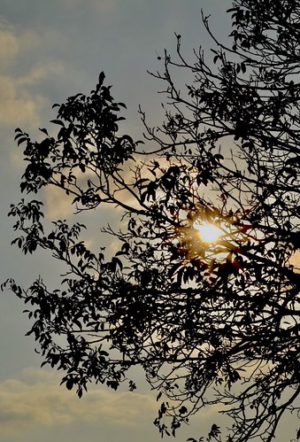 knowing the sun | by ingridillamola
