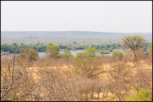 matabelelandnorthprovince river zambezinationalpark zambeziriver zimbabwe zw