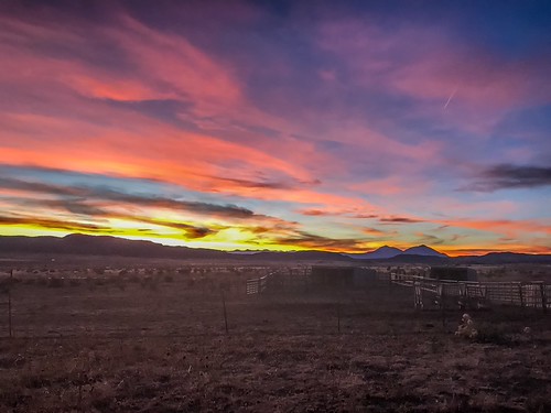 Thanksgiving at home 2017. by Dustin Cox Photography, 