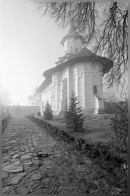 Foggy day at Probota Monastery
