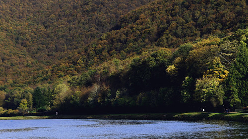 haybes ardennes arbres arboles alberi trees meuse fleuve automne autumn otoño autunno grandest forêt bois