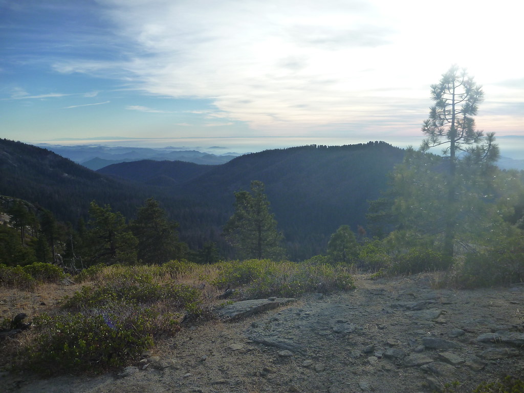 Buena Vista