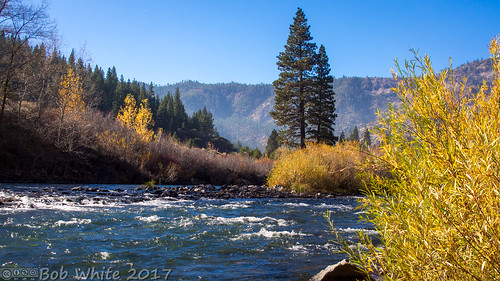 truckeeriver river water rapids yellow fall colors pine mountains sierra california norcal nevadacounty