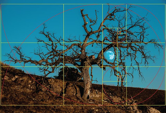 Epic Golden Ratio Compositions in Fine Art Photography Landscapes & Models! Golden Rectangles, Spirals, Triangles & the Phi-Grid!