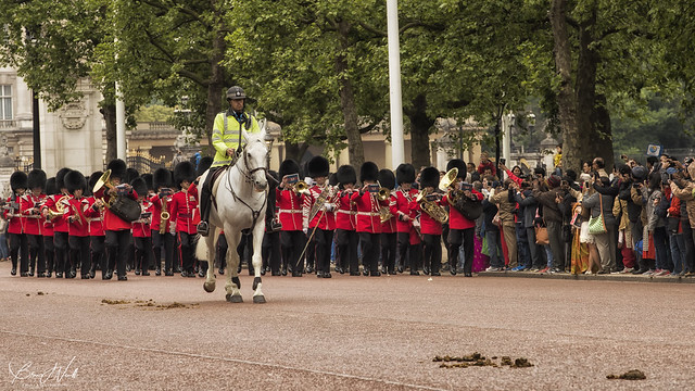 The Royal Horse Poop