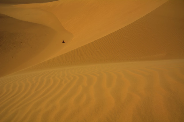 En la duna.