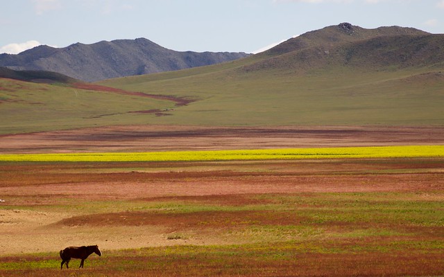Khustain, Mongolia ( Explore )