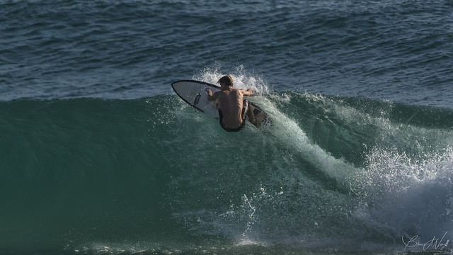 Surfing Burleigh #423