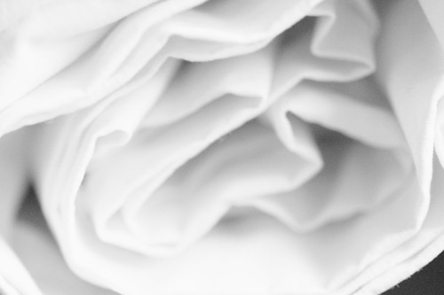 Paper Rose | by Mindo_