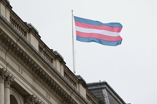 un drapeau trans (rayures bleue, rose, blanche, rose, bleue) volant 