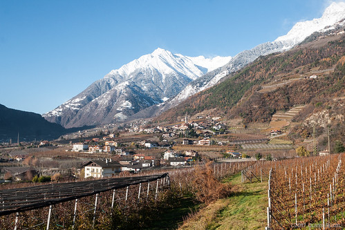 2017 oru italy merano landscape village mountain winter snow wineyard valley