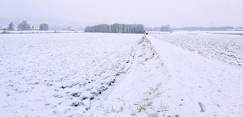 tholmb 2017 winter january norway telemark porsgrunn fields road snow trees landscape