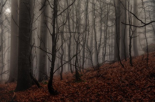 fog čerchov schwarzkopf bohemian forest hana steig ngc