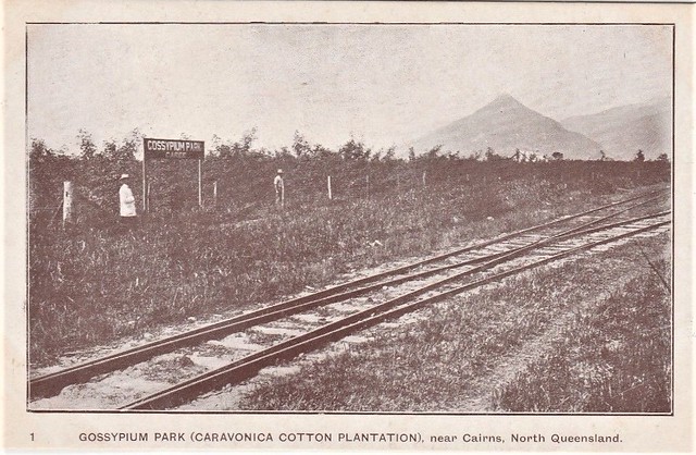 Gossypium Park, Caree, North Queensland - circa 1910