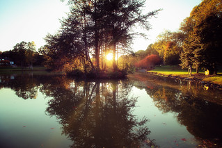 November in North Carolina