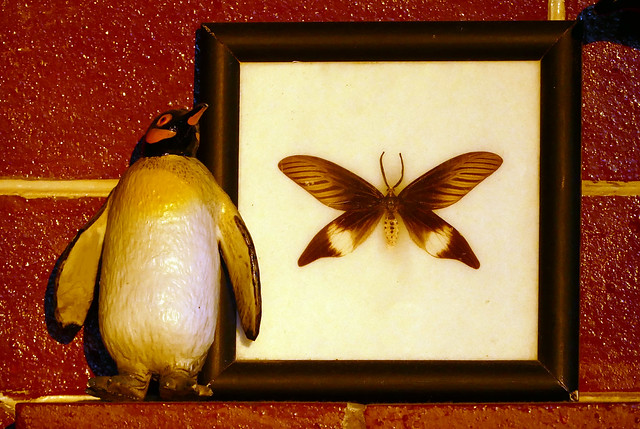 on the fireplace mantle, penguin &  moth