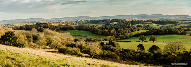 Surrey Hills, Area of Outstanding Natural Beauty, in panorama from Newlands Corner.