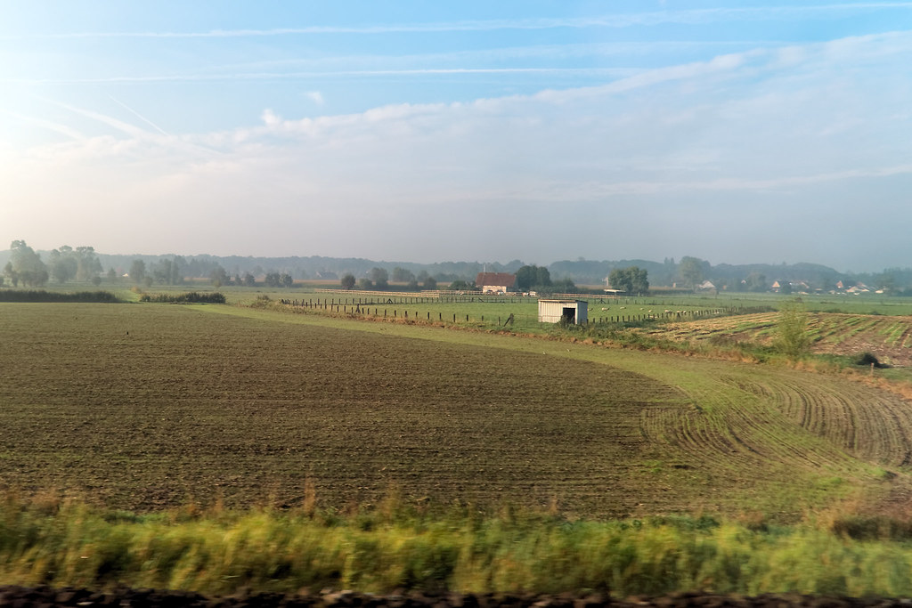Hazy Morning In The Belgian Countryside