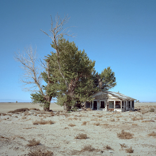 eyetwistkevinballuff eyetwist abandoned vacant farmhouse tumbleweeds mojavedesert california film 6x6 mamiya 6mf 50mm kodak portra 160 mamiya6mf mamiya50mmf4l kodakportra160 ishootfilm analog analogue emulsion mamiya6 square mediumformat 120 primes filmexif icon epsonv750pro filmtagger ishootkodak 6 medium format mojave desert highdesert landscape derelict americana homestead ranch clapboard house empty broken windows peeling bleak barren dry drought dust clouds apocalypse grapesofwrath steinbeck joads american west rural faded decay desolate lonely farm structure building wood americantypologies antelopevalley