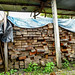 Timber from community forest user groups at the Trishakti Sawmill in Nawalparasi district, Nepal