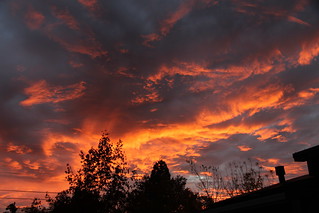 Thanksgiving Day Sunset in Napa California