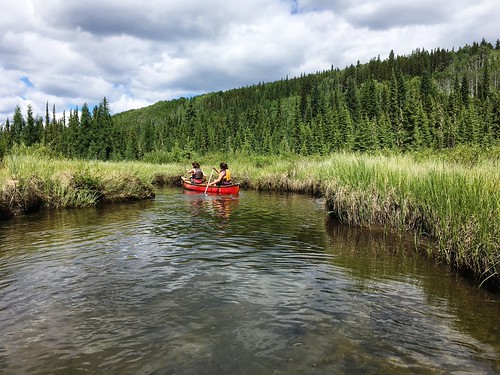 William A Switzer Provincial Park