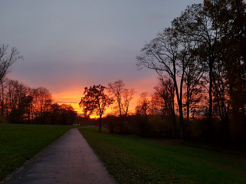 Sonnenuntergang by WilliSchrott.de, rheinauen sonnenuntergang herbst wald natur radweg