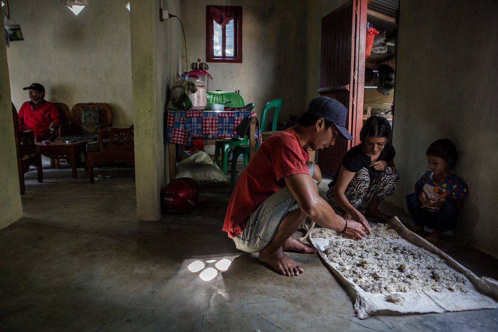 Dedi Aprianto (32), with his wife sorting the resin at their house in Pahmongan village, Pesisir Barat regency, Lampung province,...