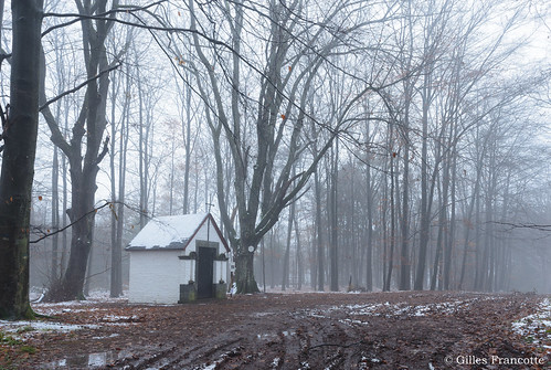 2017 december outdoor saintroch chapel chapelle fog forest landscape mist nature outside sousbois tree undergrowth underwood winter aywaille wallonie belgique be