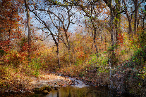 yellow fe2470mmf28gm autumn fall red orange stream sonyilce7rm2 hdr oklahoma chickasaw landscape