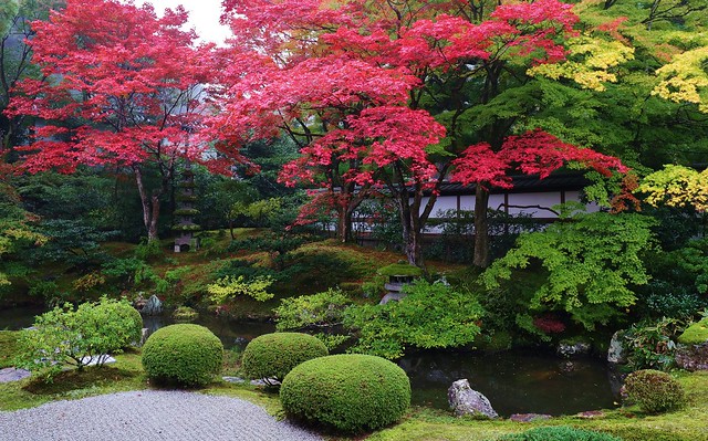 Kyoto Sennyu-ji temple 京都 泉涌寺 御座所庭園　　