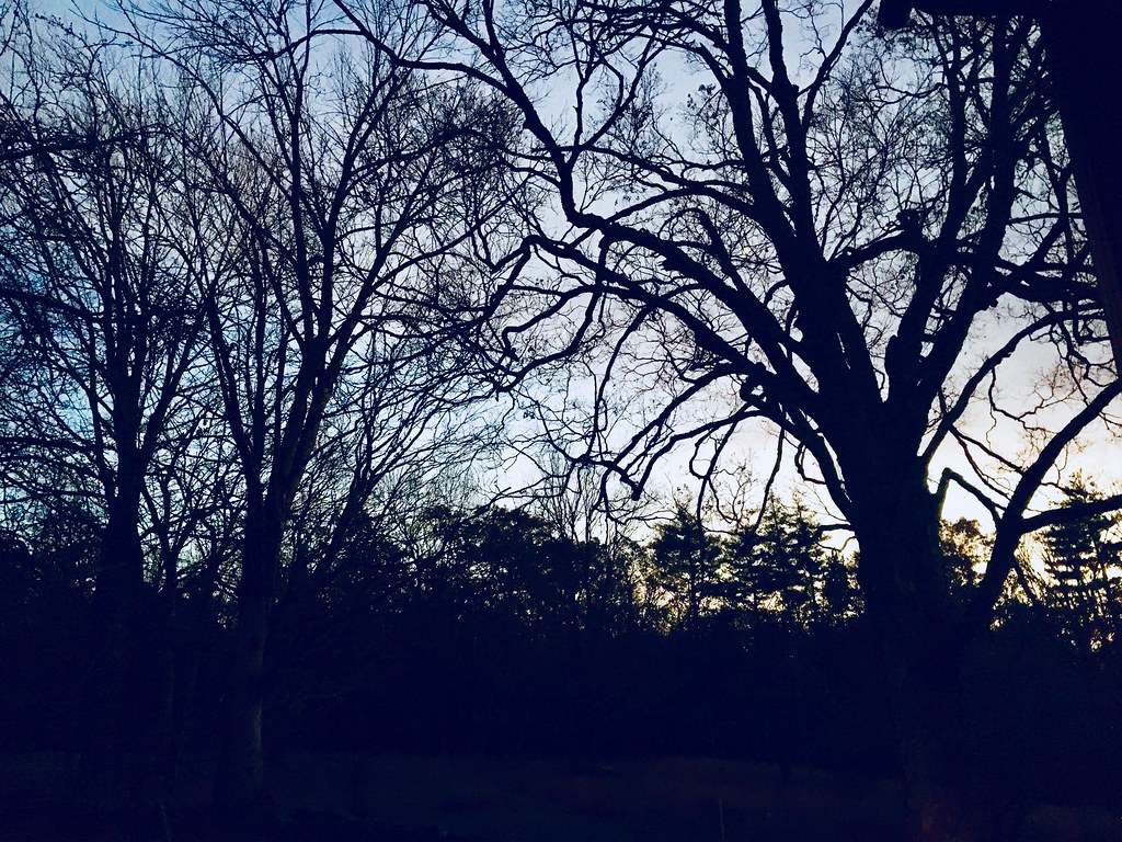 Byrdcliffe Trail