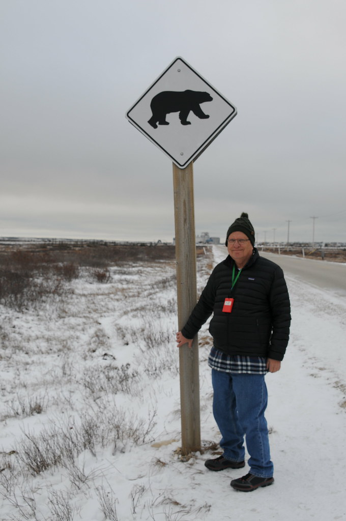 Polar Bear Crossing sign