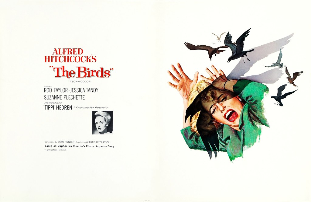 The Birds (1963 / Universal) front & back cover