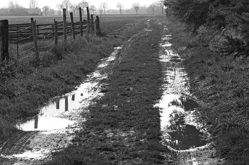 nrw kempen niederrhein gutheimendahl rurallane puddles reflections bw