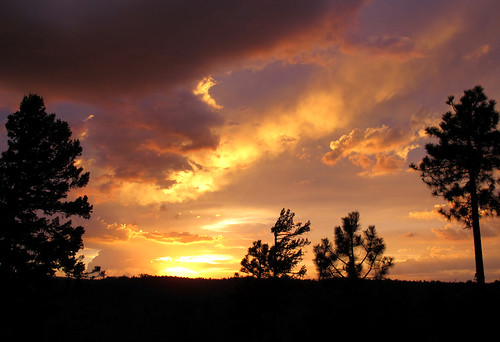 arizona sunset mogollonrim therim stormyweather monsoon thunderstorms solarpowered sky evening summer aftertherain stormclouds skyscape sundown view coloradoplateau forest rim edge silhouettes coconinonf coconinonationalforest outdoors adventure exploration discovery beauty 7600ftelevation highcountry rimexpedition2014 nature southwest canonpowershotg12 pspx9 zoniedude1 earthnaturelife