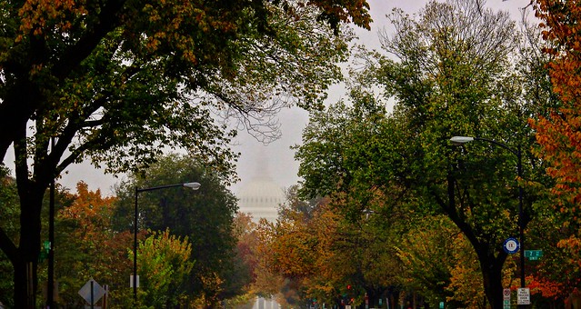Autumn morning on Capitol Hill