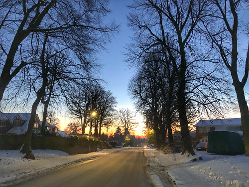 sunrise dorridge road dorridgeroad blue snow trees