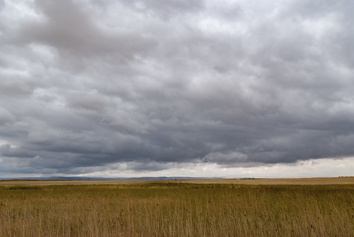 prairie alberta nanton canada couttscentreforwesterncanadianheritage landscape clouds storm farm fields