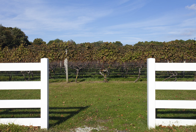 Truro Vineyards, North Truro, Cape Cod, Massachusetts, USA