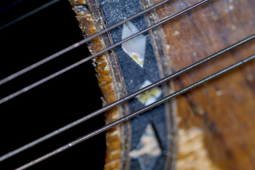 Mandolin | by Crisp-13