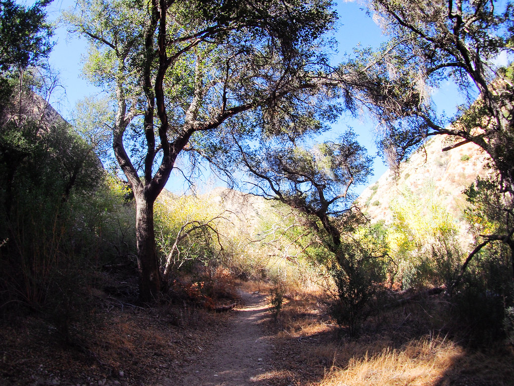 Gold Canyon Trail (UNMAINTAINED)