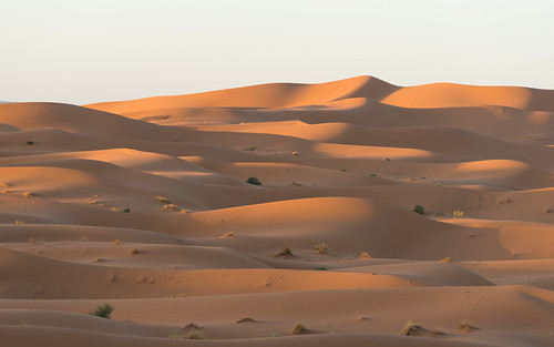 drâatafilalet morocco ergchebbi dunes sahara desert sunrise merzouga
